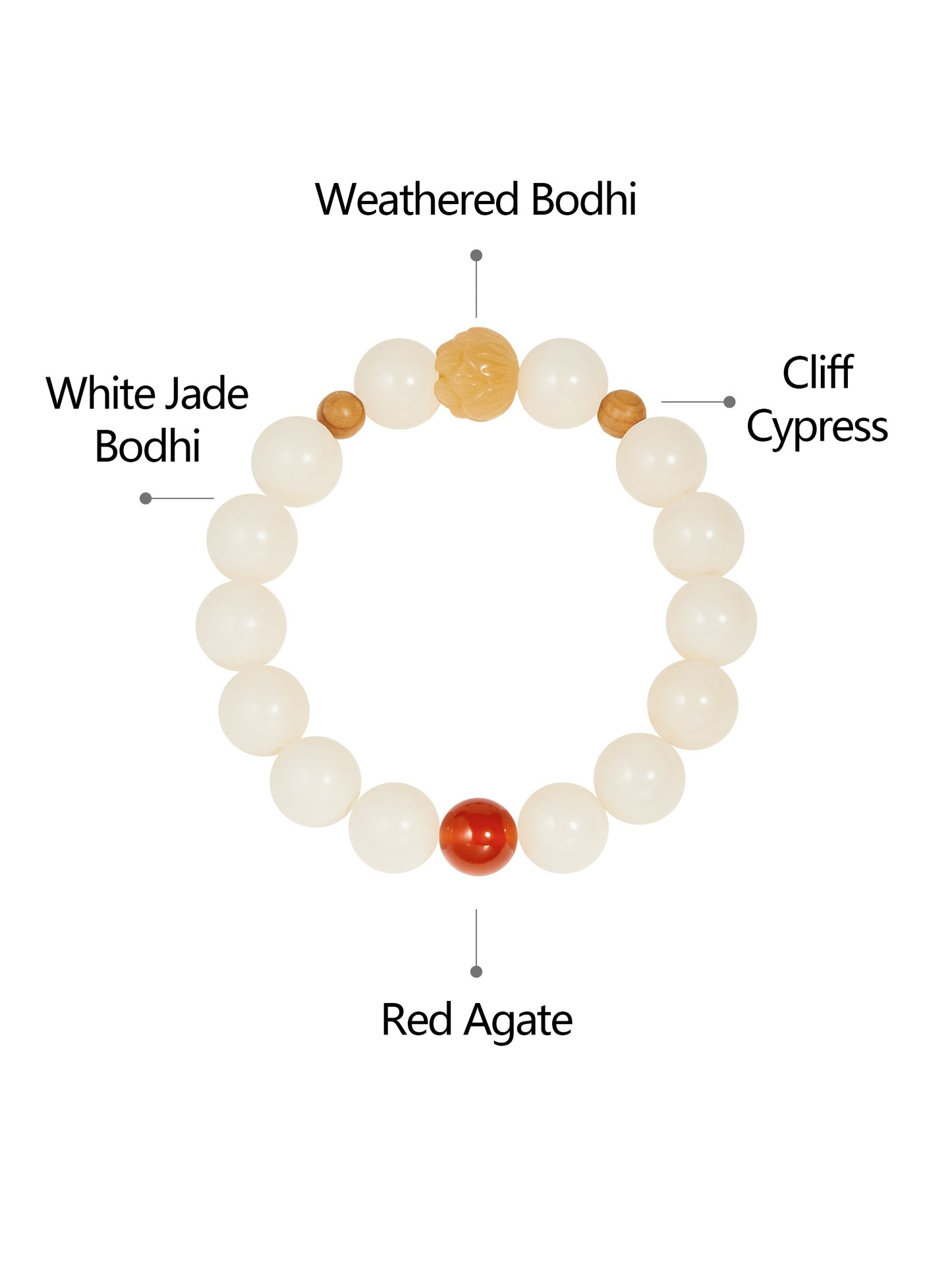 Bodhi